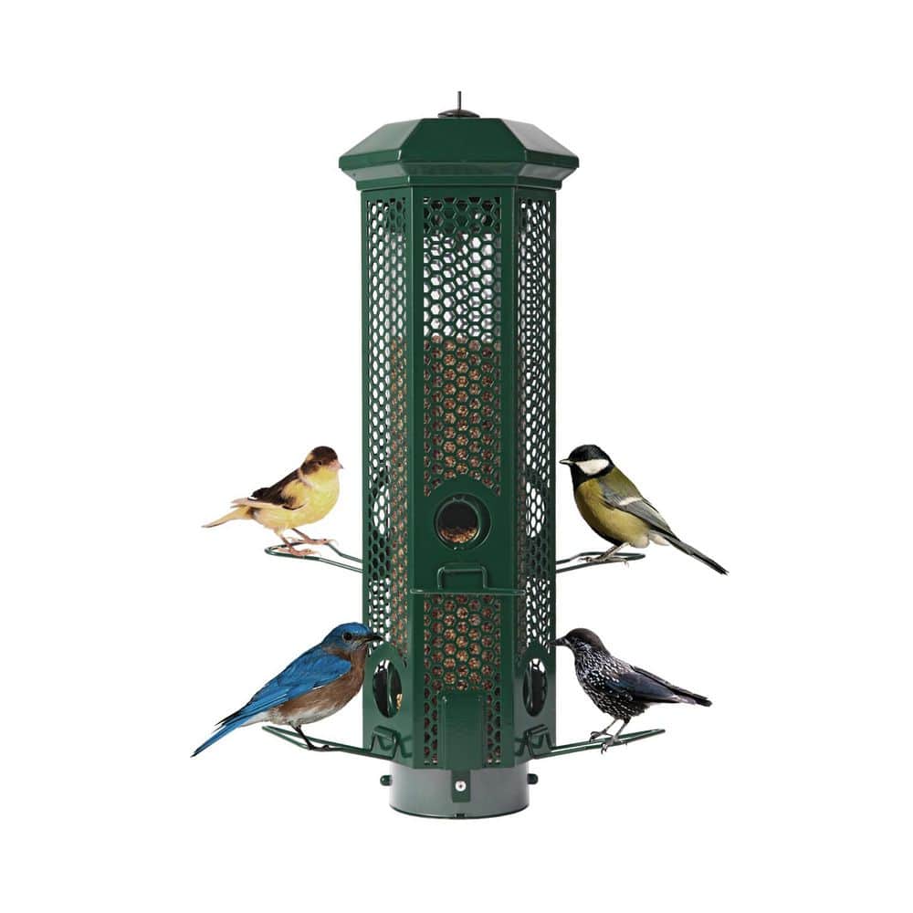 Green Metal Hanging Mount Squirrel Proof Wild Bird Feeder with 6 Weight-Activated Ports Perches for Birds 3LB price history on PriceWatchPro