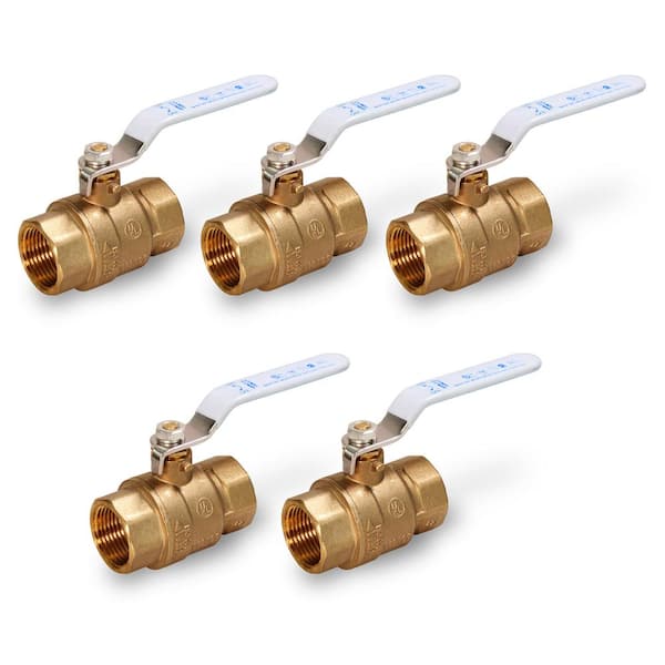 PLUMBFLEX 1 in. FIP x 1 in. FIP Premium Brass Full Port Ball Valve (5-Pack)