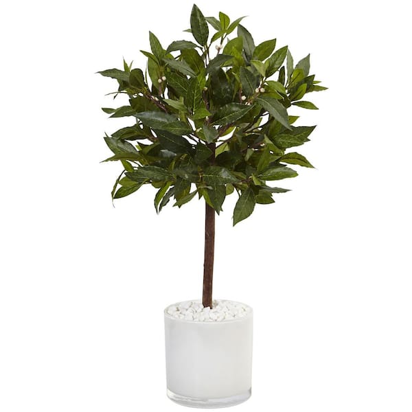 Nearly Natural Indoor Sweet Bay Artificial Tree in White Glossy Cylinder