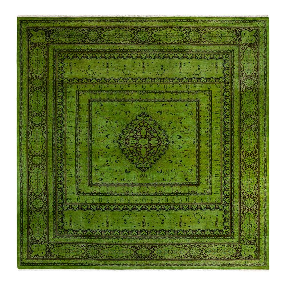 Fine Vibrance Green 8 X 10 Hand Knotted Wool Indoor Area Rug price history on PriceWatchPro