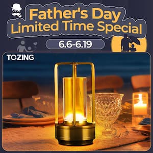 7 in. Outdoor/Indoor Dimmable Touch Control Industrial Gold Table Lamp Portable Cordless Desk Lamp 350 Lumens