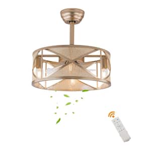 18 in. Indoor Champagne Gold Modern 6-Speed Ceiling Fan with Remote Control and Reversible Motor, No Bulbs Included