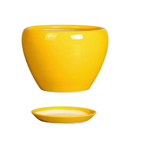 Yellow Ceramic Indoor/Outdoor Planter with Saucer (6.3 in. W x 4.4 in. H)