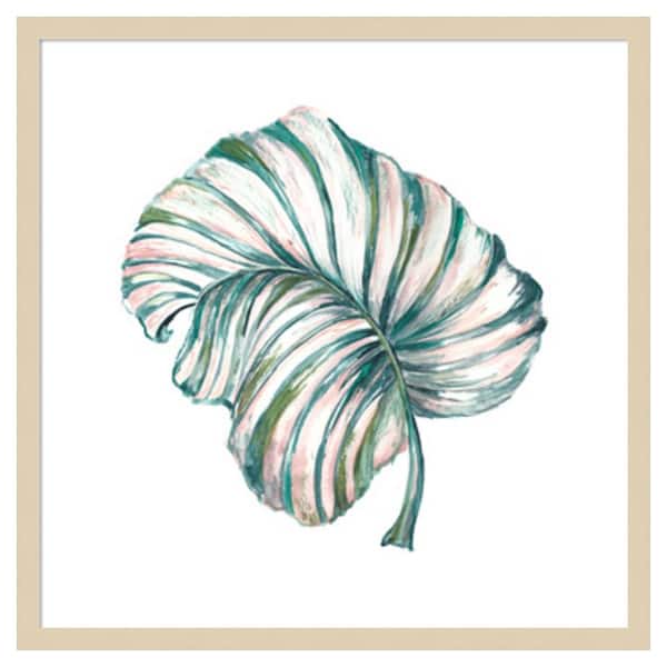 Amanti Art Island Leaf III by Tre Sorelle Studios 25 in. W x 25 in. H. Wood Framed Wall Art Print Framed in Brown