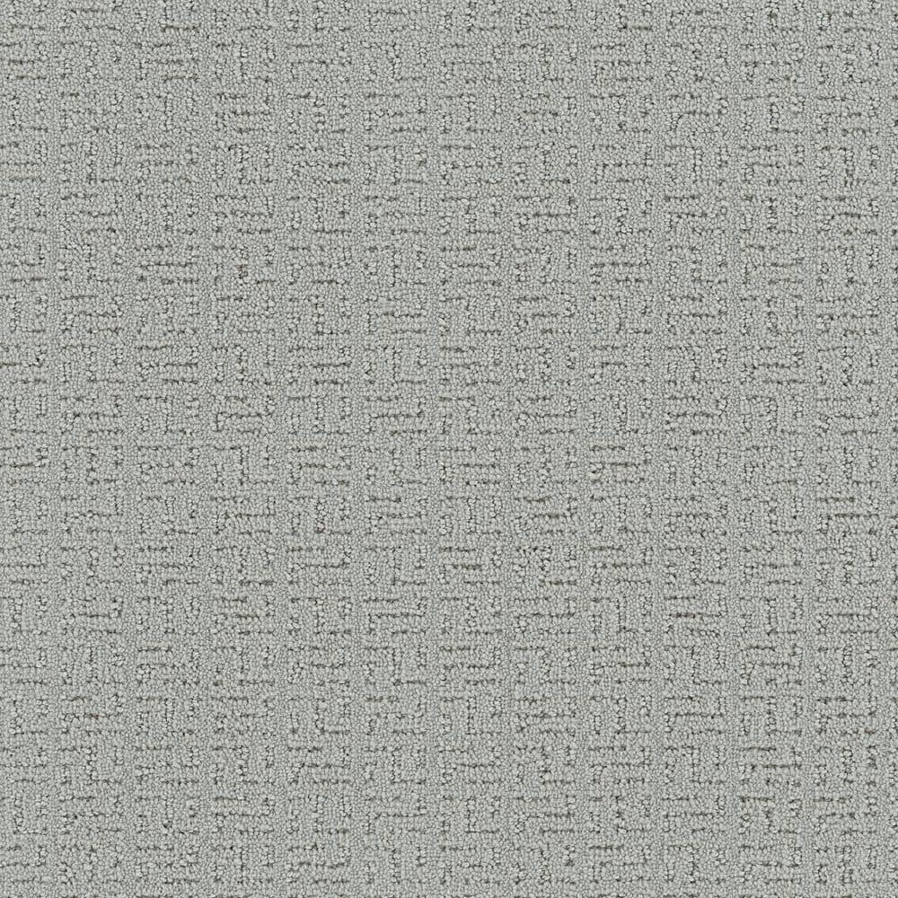 8 in. x 8 in. Loop Carpet Sample - Earthy Editions - Color Shimmer price history on PriceWatchPro