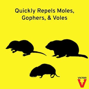 32 oz. Ready-To-Use Mole and Gopher Repellent Spray