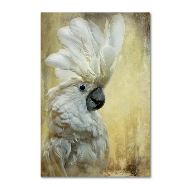Trademark Fine Art 24 in. x 16 in. Cocktoo by Lois Bryan Hidden Frame Animal Wall Art