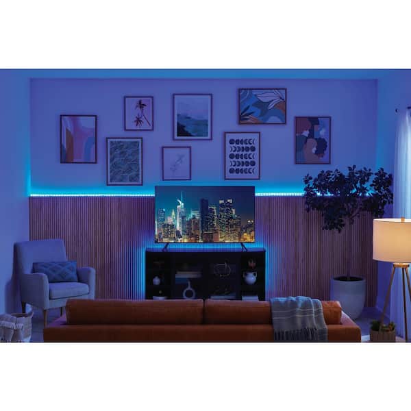 EcoSmart 16.4 ft. RGBWIC Dynamic Color Changing Dimmable Linkable Plug-In LED  Neon Flex Strip Light with Remote Control LR1321-RGBWIC-N - The Home Depot