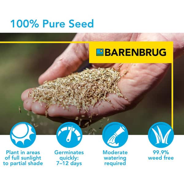 Barenbrug Annual Ryegrass Partial Shade/Sun Grass Seed 25 lb Barenbrug Annual Ryegrass Partial Shade/Sun Grass Seed 25 lb