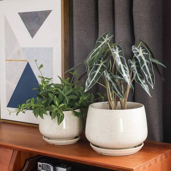 Unbranded - Reactive Glaze Beige Ceramic Indoor/Outdoor Plant Pot with Drainage Hole and Saucer (3-Pack)