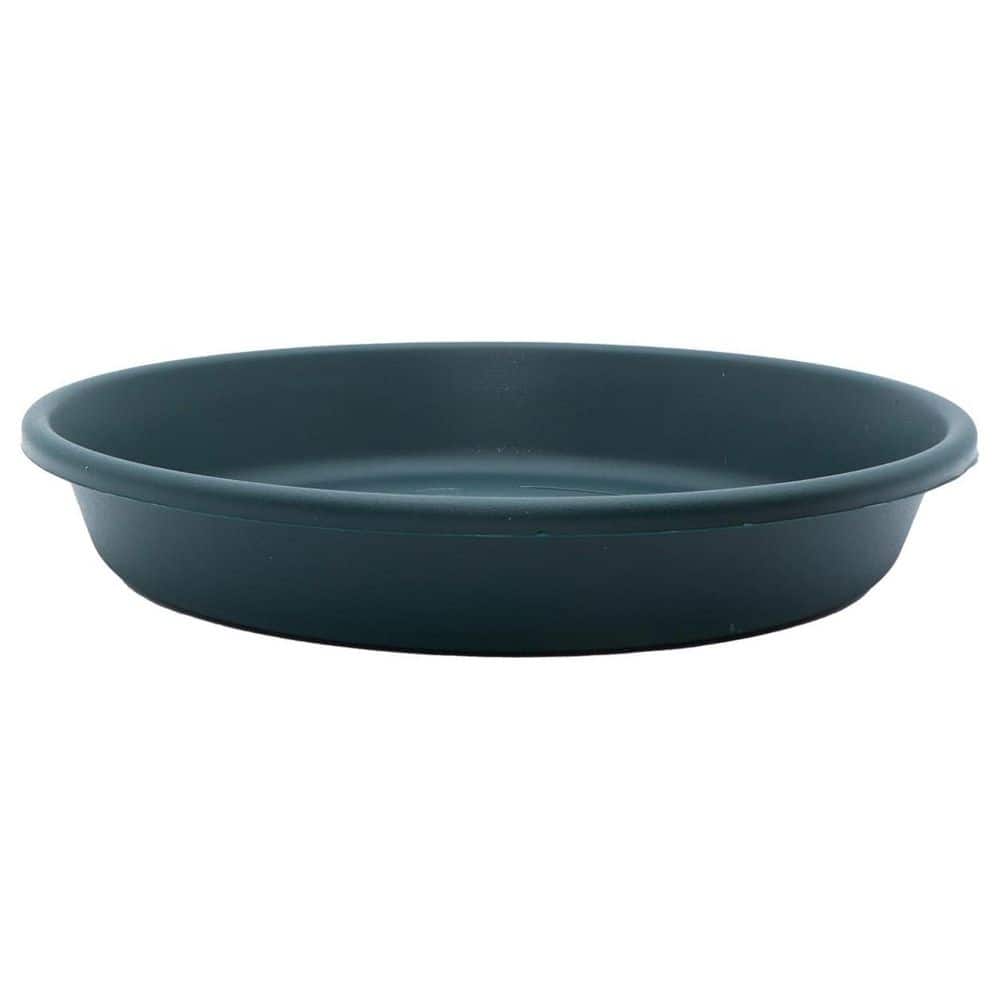 Classic 16 in. W x 1.5 in. H Evergreen Plastic Indoor/Outdoor Plant Saucer 1 (-Pack) price history on PriceWatchPro