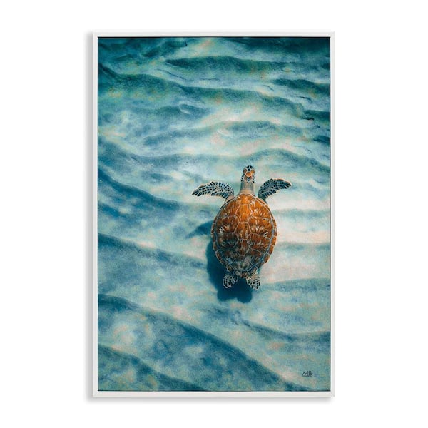Stupell Industries Turtle Along Rippling Sand by Max Blakesberg Studios White Framed Animal Giclee Art Print 18 in. x 12 in.
