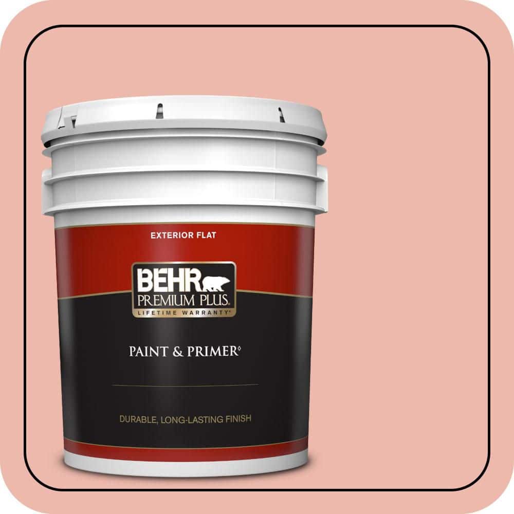5 gal. #M170-3 Carnation Coral Flat Exterior Paint & Primer price history on PriceWatchPro