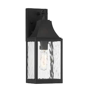 Blueberry Trail 1-Light Black Outdoor Line Voltage Wall Sconce with No Bulb Included