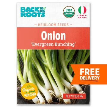 Back to the Roots Organic Evergreen Bunching Onion Seed (1-Pack) 46047
