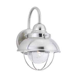 Sebring 1-Light Brushed Stainless Outdoor Small Flush Mount Light with Clear Seeded Glass Diffuser