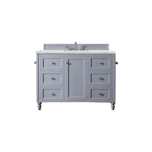 Copper Cove Encore 48 in. W x 23.5 in. D x 36.3 in. H Single Bath Vanity in Silver Gray with Ethereal Noctis Quartz Top