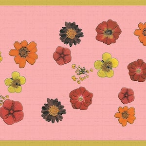 Falkirk Dandy II Pink Yellow Red Flowers Floral Peel and Stick Wallpaper Border