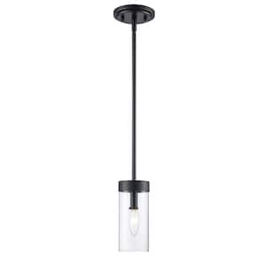 Meadowlark 1-Light Black Mini Pendant Light Fixture with Clear Glass Shade