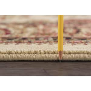 Sensation Border Ivory 11 ft. x 15 ft. Indoor Area Rug