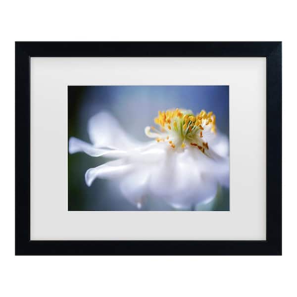 Trademark Fine Art Mandy Disher Anemone 1-Matted Framed Photography Wall Art 13 in. x 16 in.