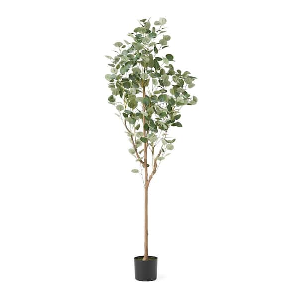 Afoxsos 6 ft. Artificial Eucalyptus Tree in Pot