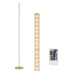 57.5 in. Gold RGBW LED Dimmable Standing Floor Lamp for Living Room with Remote Control