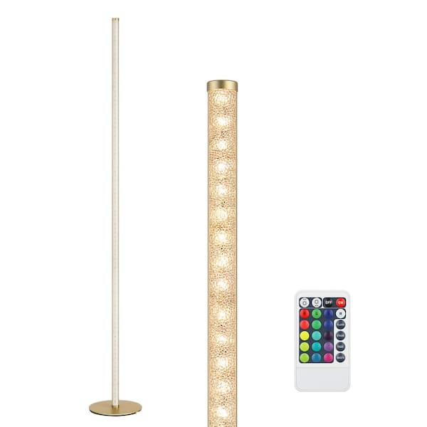 EDISHINE 57.5 in. Gold RGBW LED Dimmable Standing Floor Lamp for Living Room with Remote Control