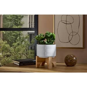7.5 in. Corrine Small White Ceramic Planter (7.5 in. D x 8.1 in. H) with Wood Stand