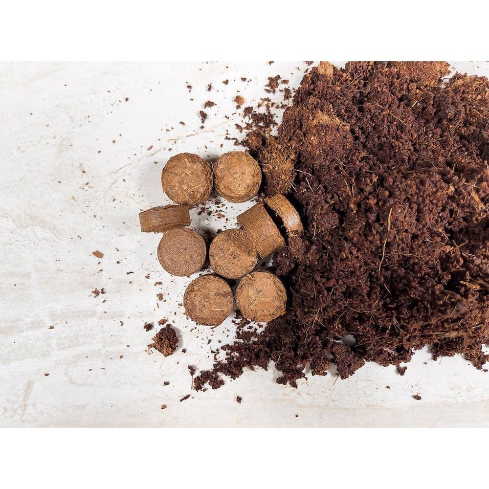 Compact Tan Coco Coir Seed Starter Pellets, 0.8 Inches, 180-Pack