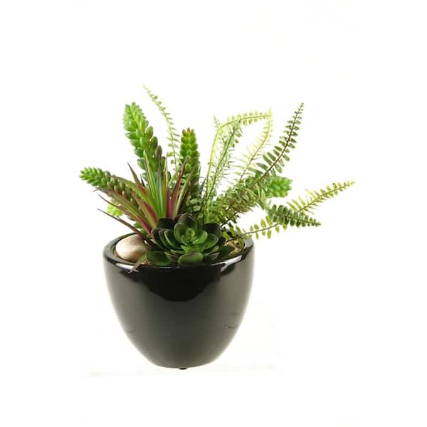 D&W Silks Artificial Indoor Succulent, Aloe and Echeveria in Round Ceramic Planter