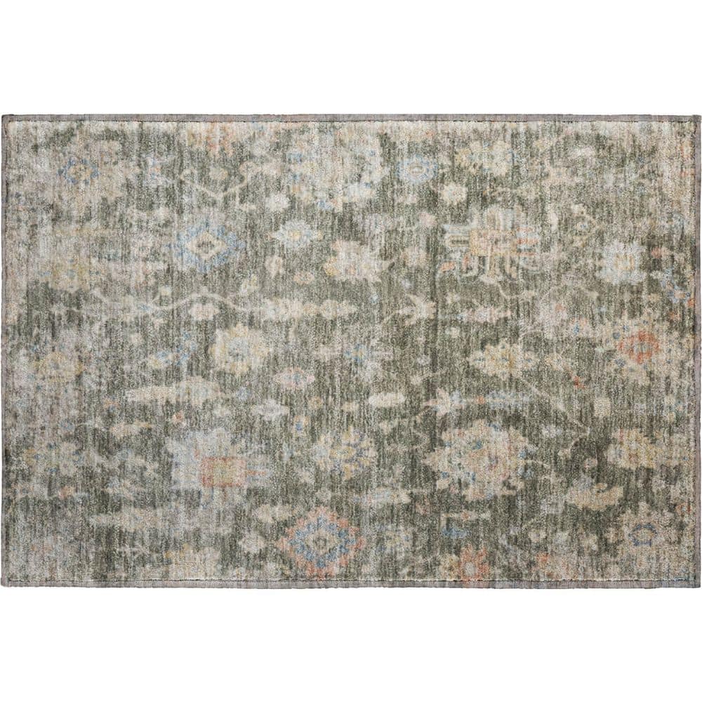 Mayfield Premium Machine Washable Abstract AMF2355 Fern 2 ft. x 3 ft. Accent Rug price history on PriceWatchPro