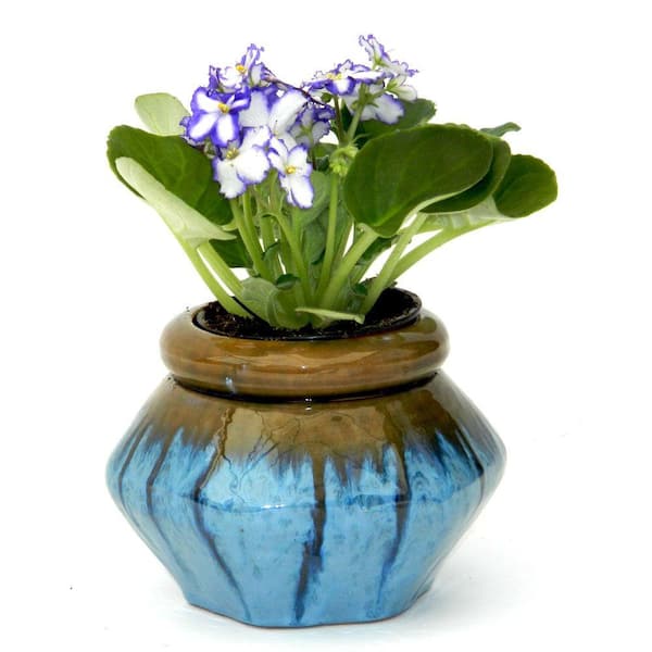 Ceramic Shell Self Watering Pots Standard African Violets 