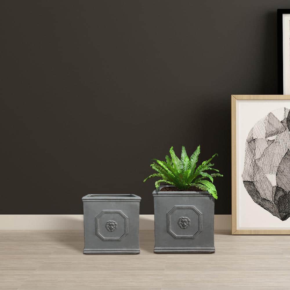 Antique Gray Concrete Lion Head Square Planter Set