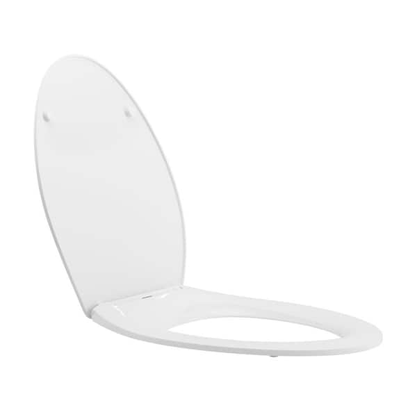 Home + Solutions Nightlight Elongated White Plastic Toilet Seat at Menards®