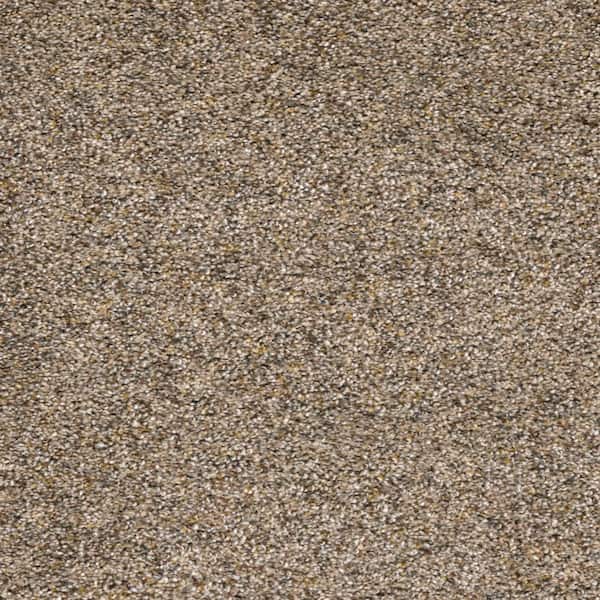 8 in. x  8 in. Texture Carpet Sample - Whispers -Color Secret