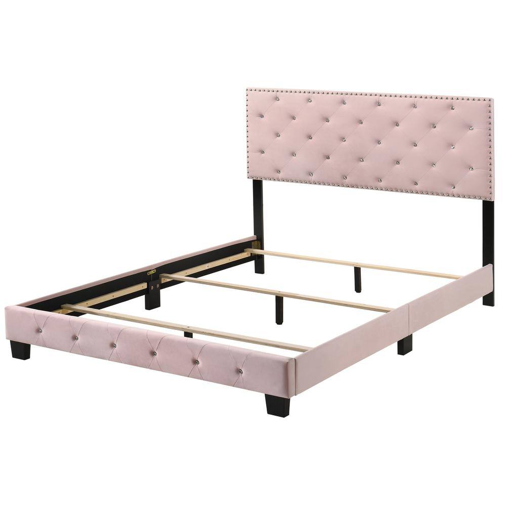 Suffolk Pink Velvet Upholstered Queen Panel Bed with Nailhead Trim