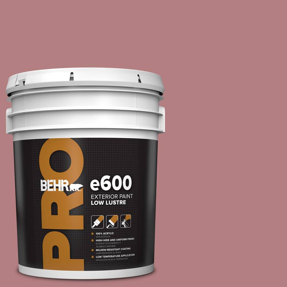 5 gal. #T14-15 Minuet Rose Low Luster Exterior Paint price history on PriceWatchPro