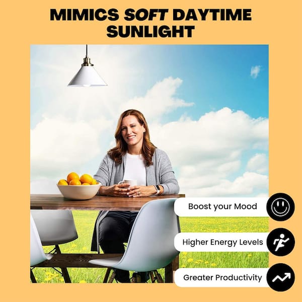 NorbSMILE 9 Watt Equivalent A19 Cool White (4000K) Sun-Spectrum Wellness LED Light Bulb (1-Pack)