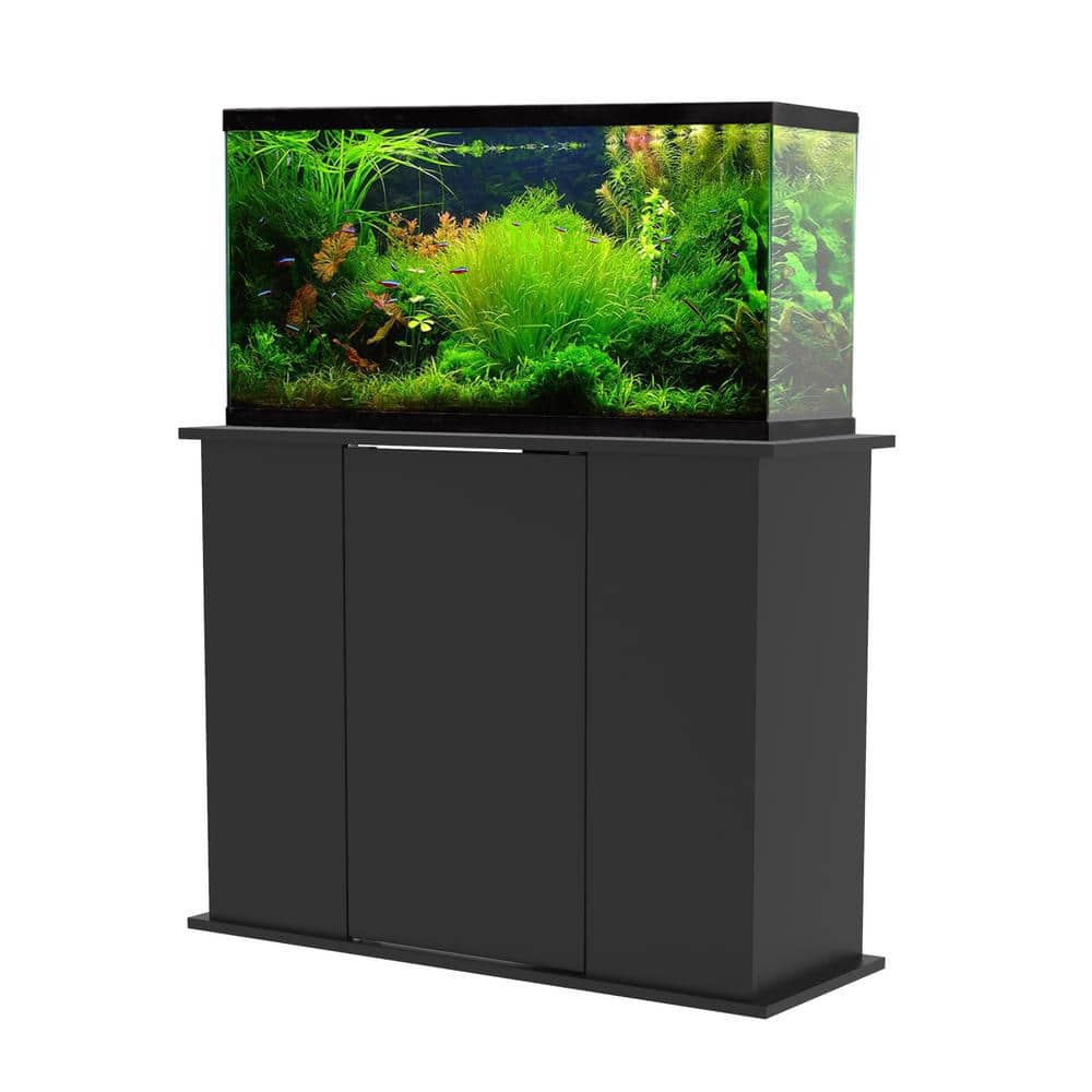Aquarium Fundamentals Black 28.25 in. Accent Cabinet with 2 Shelves with Sw