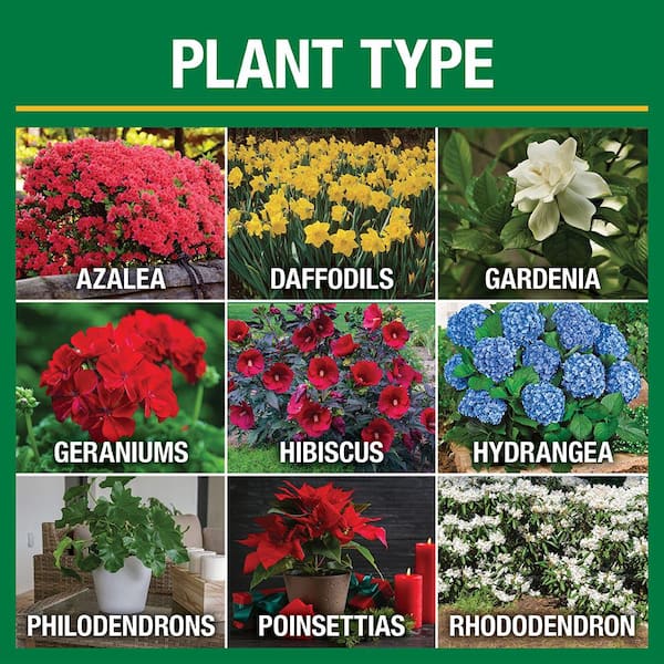 These Are 15 of the Most Popular Plant Products on