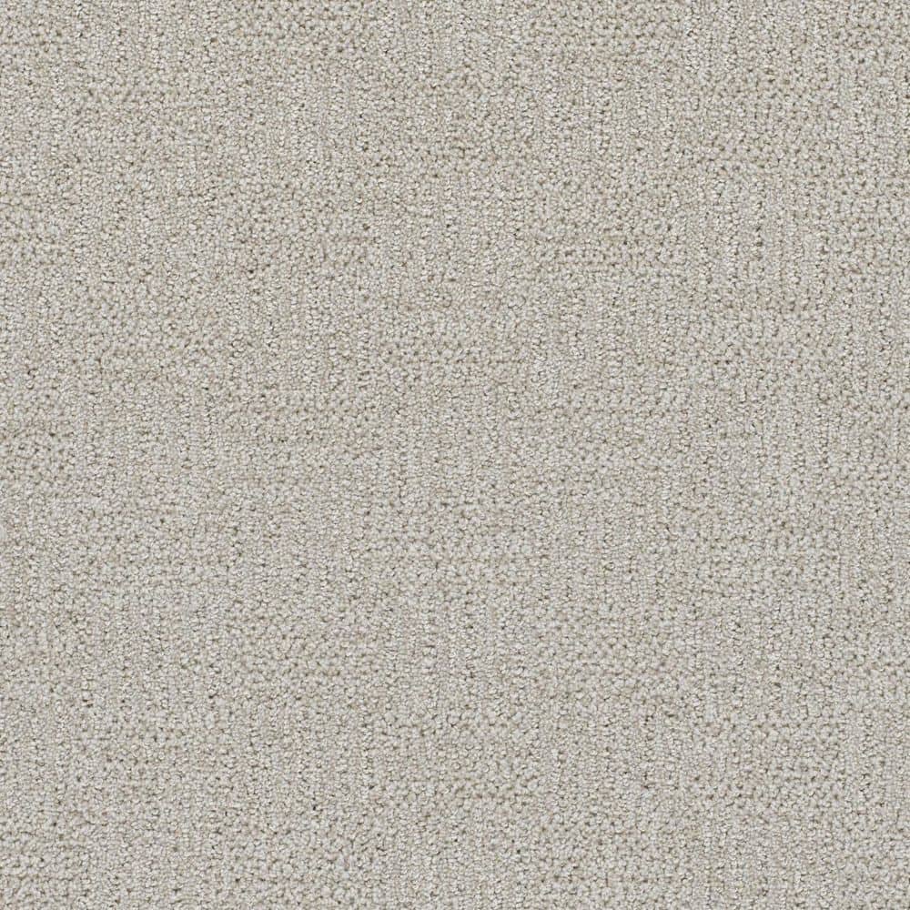 8 in. x 8 in. Pattern Carpet Sample - Nestled Nooks - Color Snug price history on PriceWatchPro