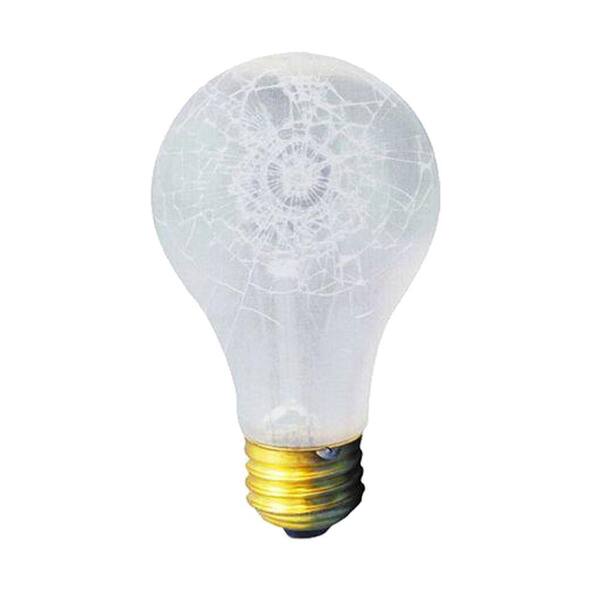 Bulbrite 75-Watt Incandescent A19 Light Bulb (10-Pack)