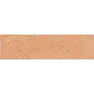 Brick Art Chelsea Cotto MA 3 in. x 10 in. Glazed Ceramic Floor and Wall Tile Sample