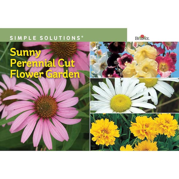 Sunny Perennial Cut Flower Garden