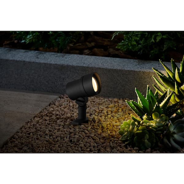 Rodham 216 Lumen Low Voltage Black Hardwired Integrated LED Outdoor Landscape Flood Light With Adjustable Lamp Head