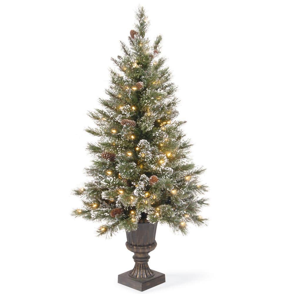 National Tree Company 4 ft. Glittery Bristle Entrance Artificial