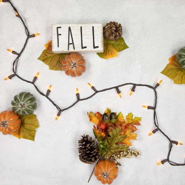 Northlight 20.25 ft. Amber Mini Fall Harvest Lights Brown Wire 100 Count 35716017 The Home Depot