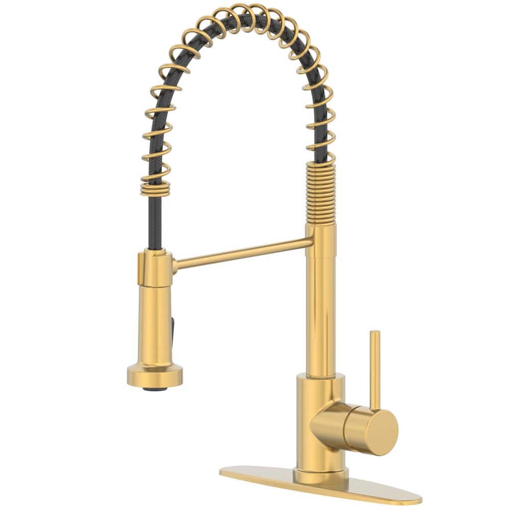 13.7 in. Riverbend Springneck Pulldown Kitchen Faucet in Brushed Gold with 180° Swivel price history on PriceWatchPro