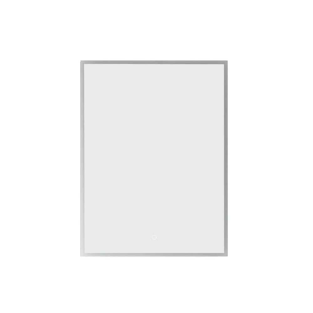 ROSWELL Perma 24 in. W x 32 in. L Rectangular Surface-Mount LED Glass ...